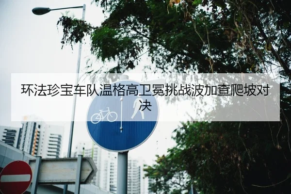 环法珍宝车队温格高卫冕挑战波加查爬坡对决